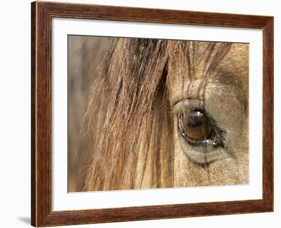 APTOPIX Mustangs Savior-Ann Heisenfelt-Framed Photographic Print