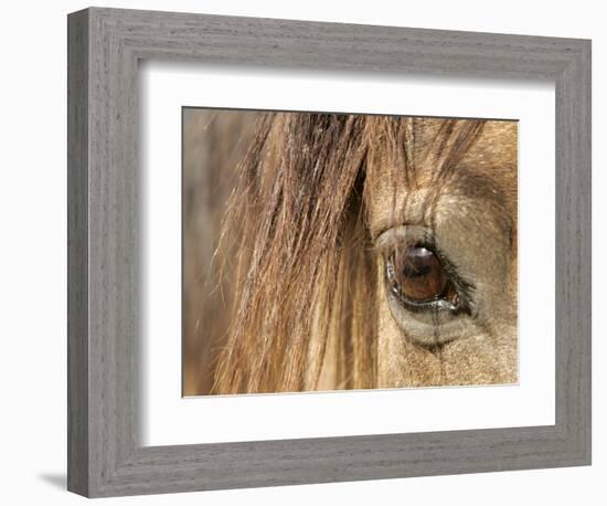 APTOPIX Mustangs Savior-Ann Heisenfelt-Framed Photographic Print