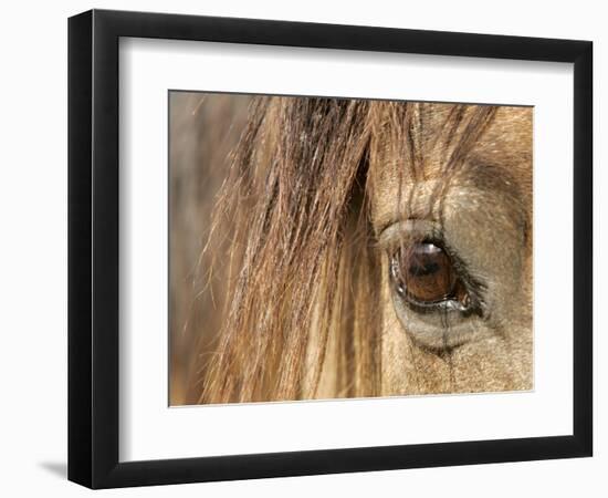 APTOPIX Mustangs Savior-Ann Heisenfelt-Framed Photographic Print