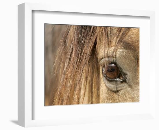 APTOPIX Mustangs Savior-Ann Heisenfelt-Framed Photographic Print