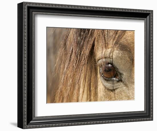 APTOPIX Mustangs Savior-Ann Heisenfelt-Framed Photographic Print