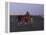 APTOPIX Pakistan Daily Life-Muhammed Muheisen-Framed Premier Image Canvas