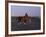 APTOPIX Pakistan Daily Life-Muhammed Muheisen-Framed Photographic Print