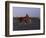 APTOPIX Pakistan Daily Life-Muhammed Muheisen-Framed Photographic Print