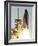 APTOPIX Space Shuttle-Terry Renna-Framed Photographic Print