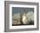 APTOPIX Space Shuttle-Terry Renna-Framed Photographic Print