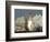 APTOPIX Space Shuttle-Terry Renna-Framed Photographic Print