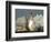 APTOPIX Space Shuttle-Terry Renna-Framed Photographic Print