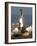 APTOPIX Space Shuttle-Chris O'Meara-Framed Photographic Print