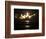 APTOPIX Space Shuttle-John Raoux-Framed Photographic Print