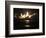 APTOPIX Space Shuttle-John Raoux-Framed Photographic Print