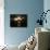 APTOPIX Space Shuttle-John Raoux-Photographic Print displayed on a wall