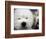 APTOPIX Westminster Dog Show-Mary Altaffer-Framed Photographic Print