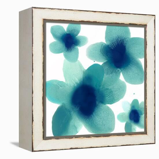 Aqua Blooms II-Hannah Carlson-Framed Stretched Canvas