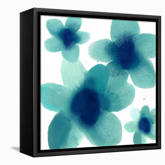 Aqua Blooms II-Hannah Carlson-Framed Stretched Canvas