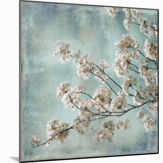 Aqua Blossoms I-John Seba-Mounted Art Print