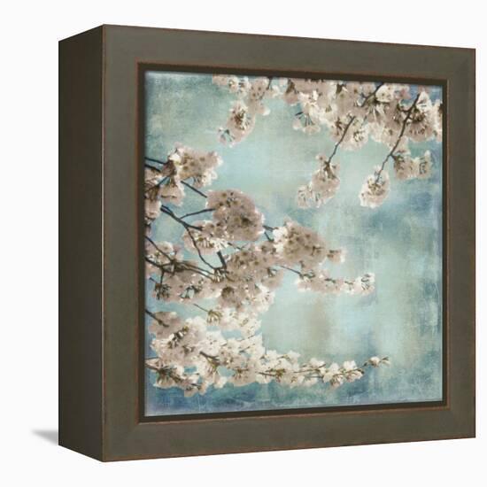 Aqua Blossoms II-John Seba-Framed Stretched Canvas