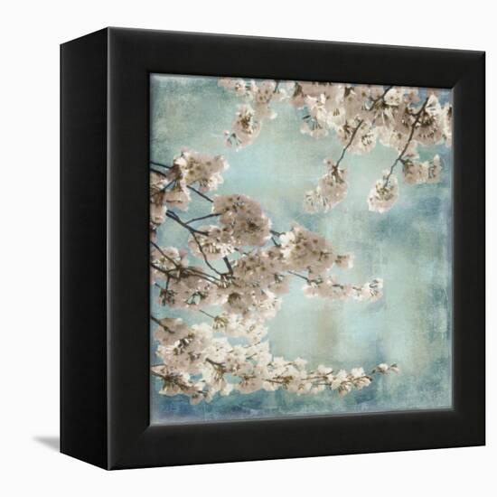 Aqua Blossoms II-John Seba-Framed Stretched Canvas