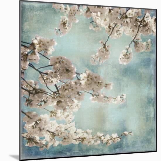 Aqua Blossoms II-John Seba-Mounted Art Print