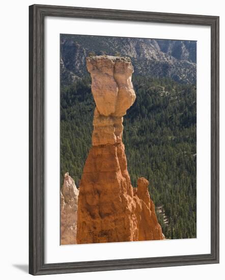 Aqua Canyon, Bryce Canyon National Park, Utah, United States of America, North America-Richard Maschmeyer-Framed Photographic Print