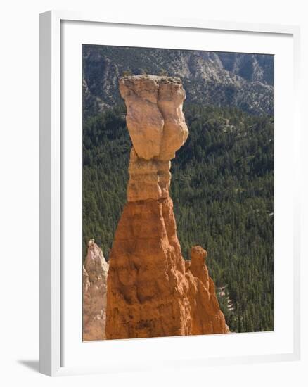 Aqua Canyon, Bryce Canyon National Park, Utah, United States of America, North America-Richard Maschmeyer-Framed Photographic Print