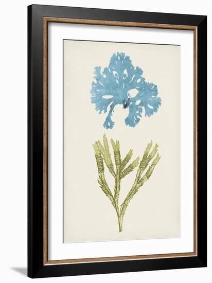 Aqua & Citron Coral III-Vision Studio-Framed Art Print