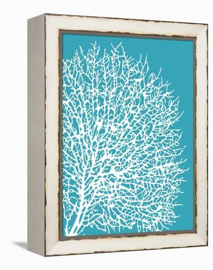 Aqua Coral II-Sabine Berg-Framed Stretched Canvas