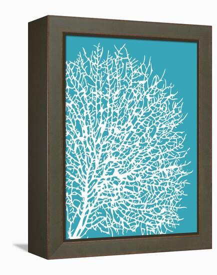 Aqua Coral II-Sabine Berg-Framed Stretched Canvas