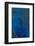 Aqua Dance-Doug Chinnery-Framed Photographic Print