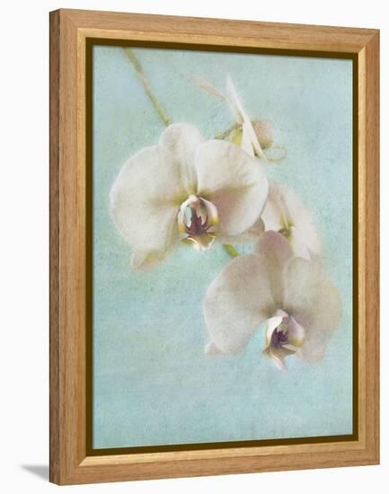 Aqua Floral I-Amy Melious-Framed Stretched Canvas