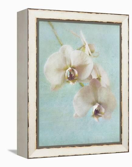 Aqua Floral I-Amy Melious-Framed Stretched Canvas