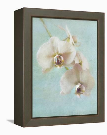 Aqua Floral I-Amy Melious-Framed Stretched Canvas