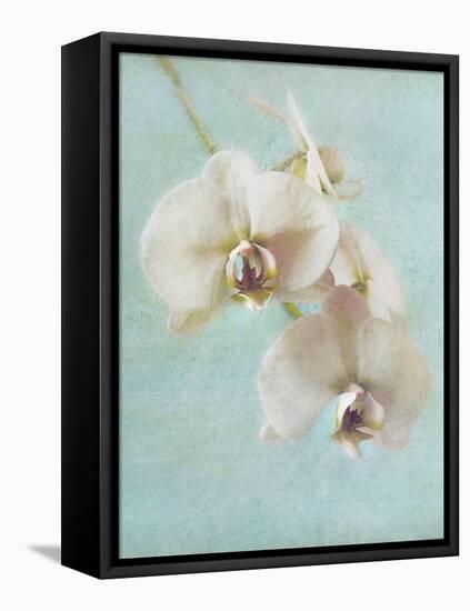 Aqua Floral I-Amy Melious-Framed Stretched Canvas