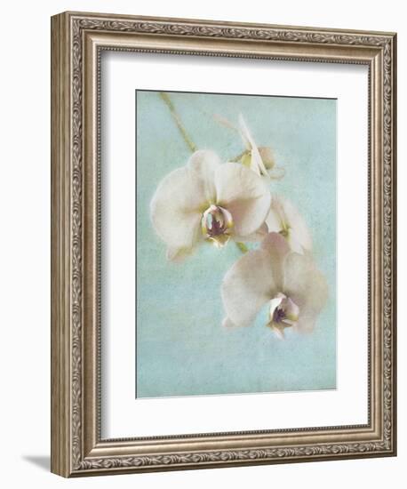 Aqua Floral I-Amy Melious-Framed Art Print