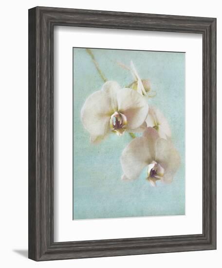 Aqua Floral I-Amy Melious-Framed Art Print