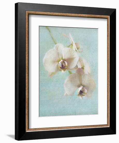 Aqua Floral I-Amy Melious-Framed Art Print