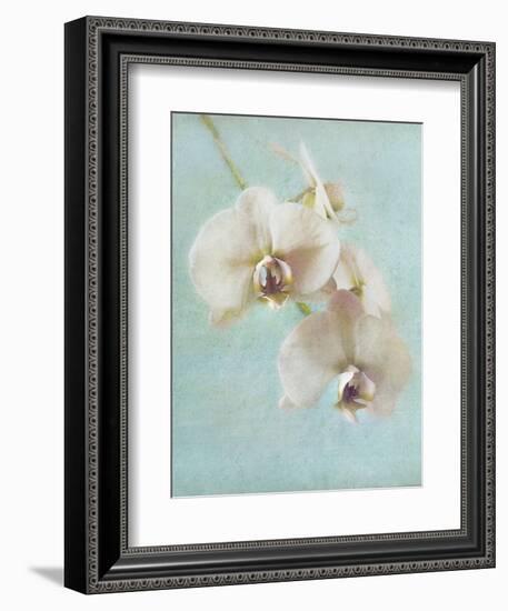 Aqua Floral I-Amy Melious-Framed Art Print