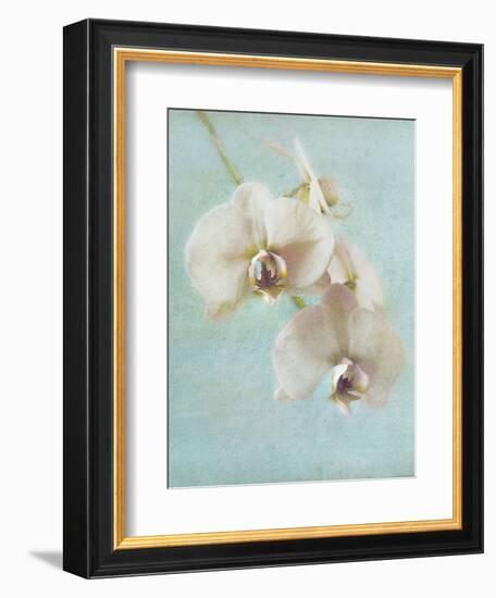 Aqua Floral I-Amy Melious-Framed Art Print