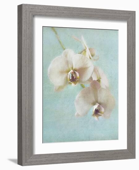 Aqua Floral I-Amy Melious-Framed Art Print