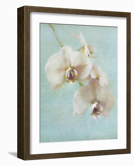 Aqua Floral I-Amy Melious-Framed Art Print