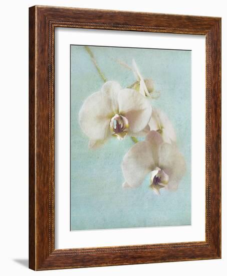 Aqua Floral I-Amy Melious-Framed Art Print