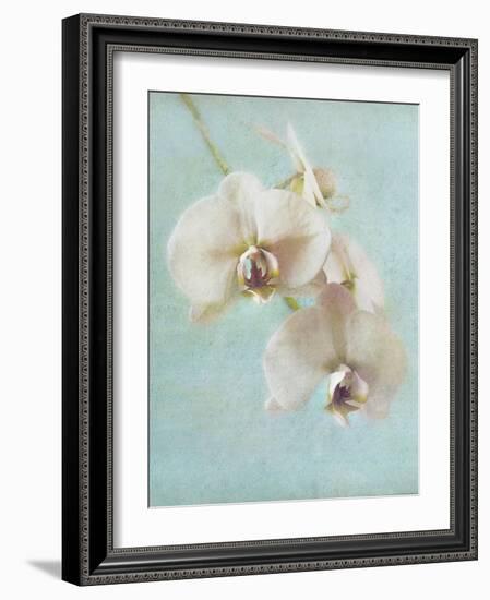 Aqua Floral I-Amy Melious-Framed Art Print