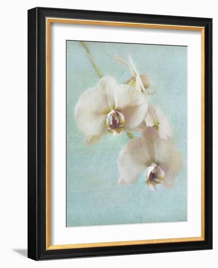 Aqua Floral I-Amy Melious-Framed Art Print