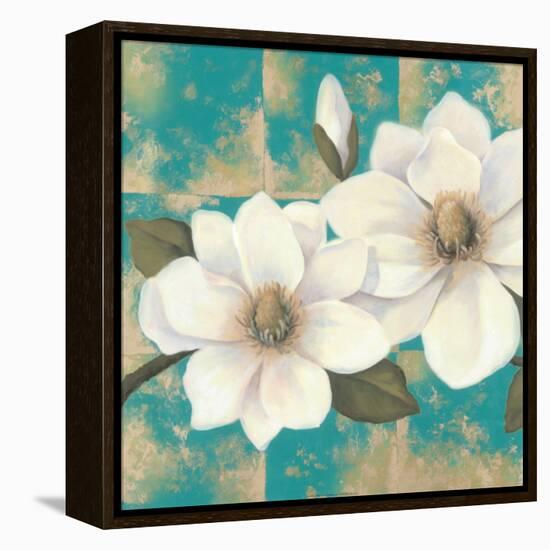 Aqua Floral II-Tc Chiu-Framed Stretched Canvas