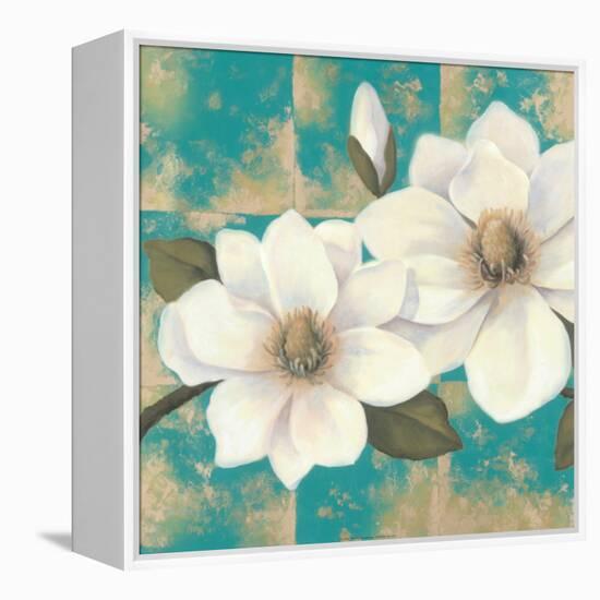 Aqua Floral II-Tc Chiu-Framed Stretched Canvas