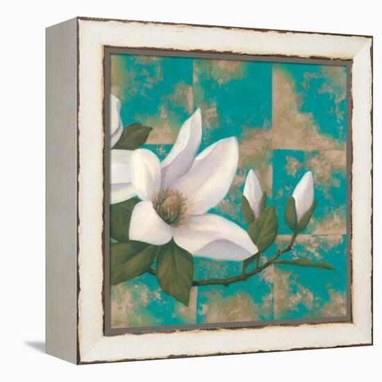 Aqua Floral II-TC Chiu-Framed Stretched Canvas