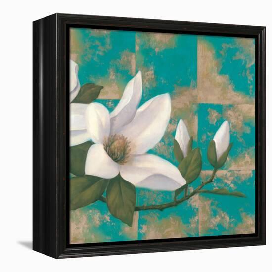 Aqua Floral II-TC Chiu-Framed Stretched Canvas