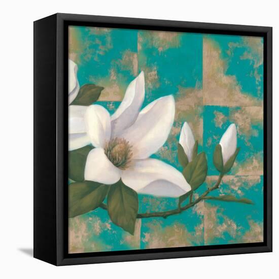 Aqua Floral II-TC Chiu-Framed Stretched Canvas