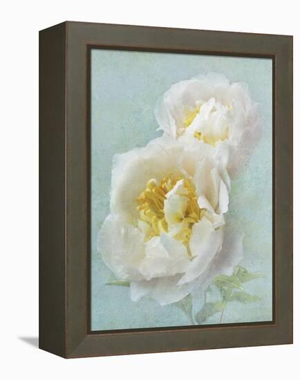 Aqua Floral III-Amy Melious-Framed Stretched Canvas