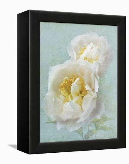 Aqua Floral III-Amy Melious-Framed Stretched Canvas